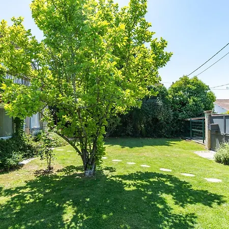 Olympe Holiday home Montauban